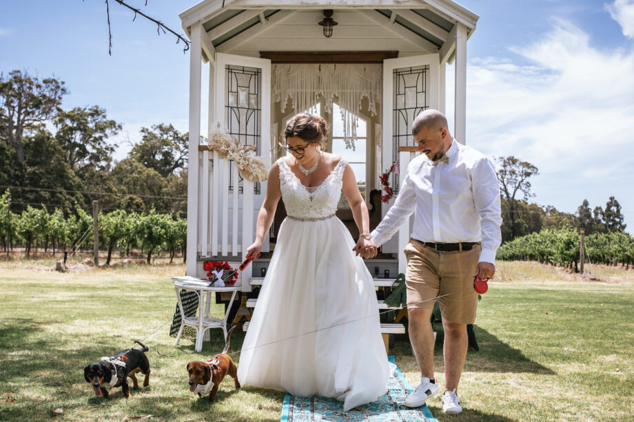 witnesses included the couple's two dogs